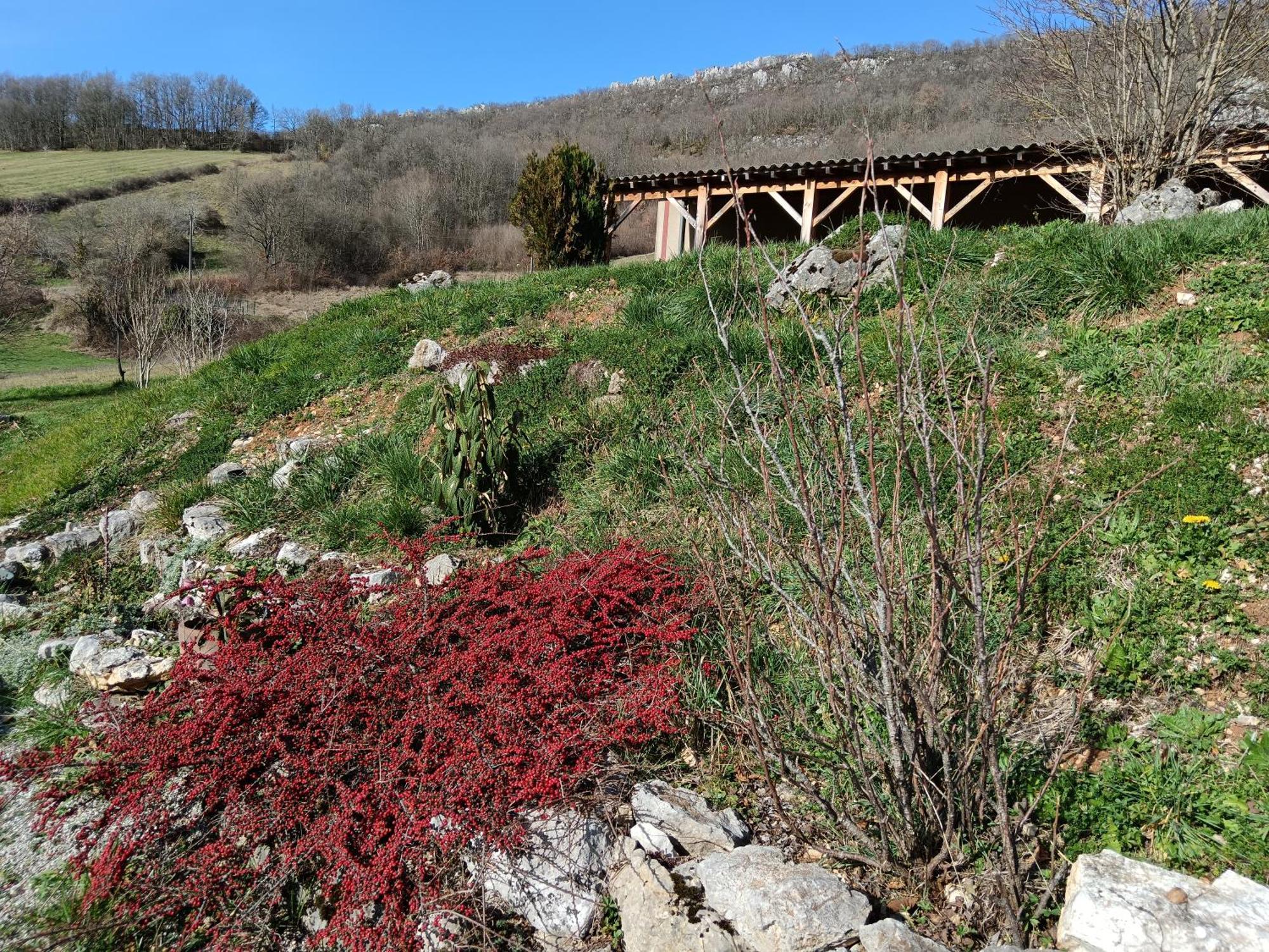 Maison Chaleureuse En Ariege Roquefort-Les-Cascades Buitenkant foto